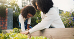 Gardening, vegetables and mom with child in backyard for planting flowers, learning skills and landscaping. Family, nature and mother with girl outdoors with plants for growth, fun hobby and relax