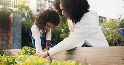 Buy stock photo Gardening, vegetables and mom with child in backyard for planting flowers, learning skills and landscaping. Family, nature and mother with girl outdoors with plants for growth, fun hobby and relax