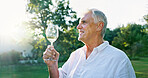 Smile, white wine and mature man at vineyard with glass, luxury drink and holiday at farm or countryside. Winery, tour and person tasting alcohol outdoor or thinking of beverage on vacation in nature