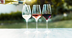 Glasses, alcohol and vineyard with wine tasting, selection and options with bottle. Empty, outdoor and pour with restaurant, luxury drinks and choice with celebration, quality control or social event