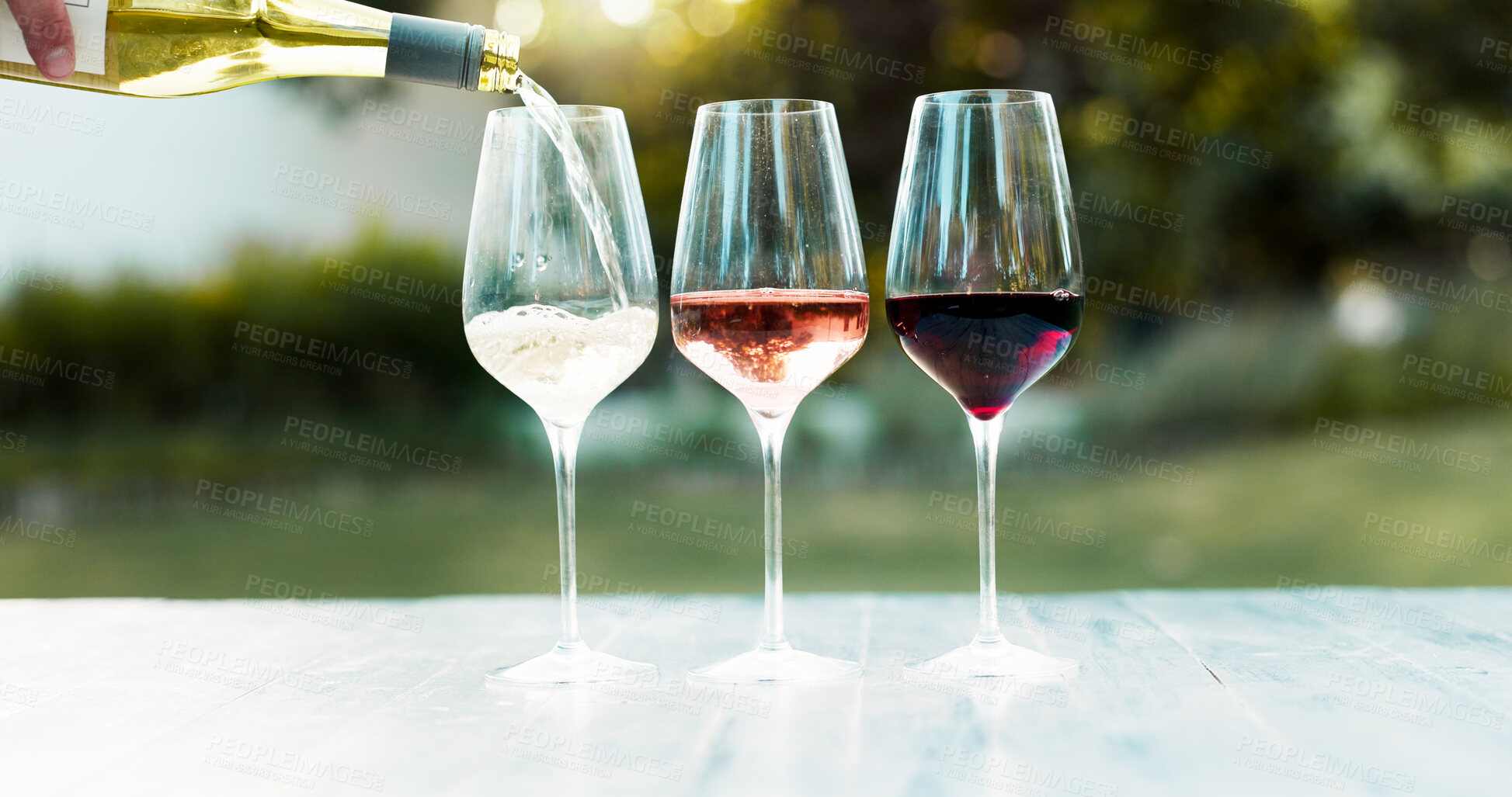 Buy stock photo Glasses, alcohol and vineyard with wine tasting, selection and options with bottle. Empty, outdoor and pour with restaurant, luxury drinks and choice with celebration, quality control or social event
