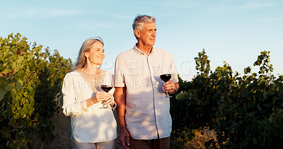 Buy stock photo Love, walk and wine with old couple in vineyard for romance, anniversary date and bonding. Happiness, retirement and support with senior man and woman at winery for drink, relax and vacation
