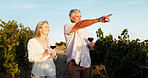Love, pointing and wine with old couple in vineyard for romance, anniversary date and bonding. Happiness, retirement and view with senior man and woman at winery for alcohol, relax and vacation