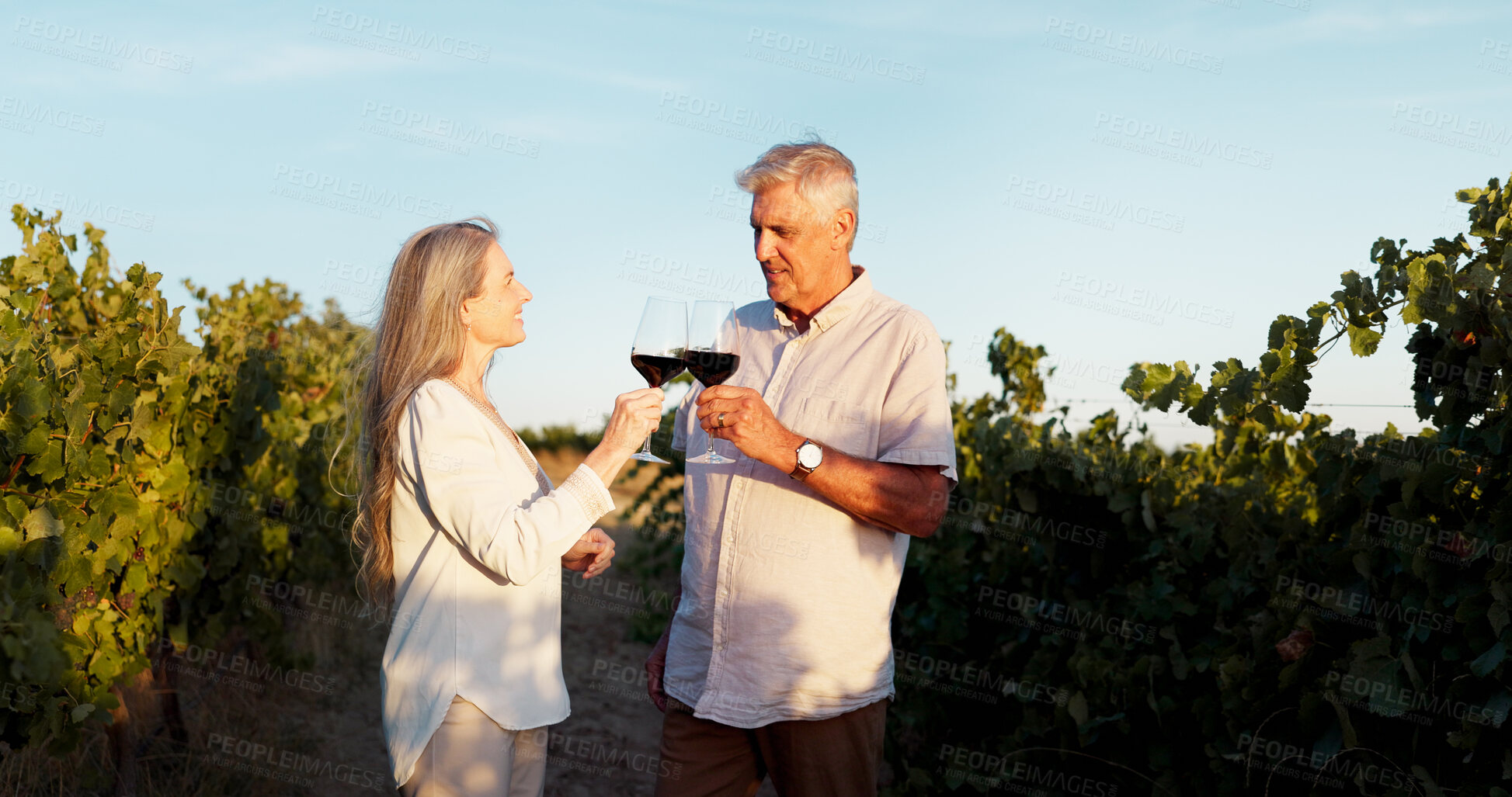 Buy stock photo Love, cheers and wine with old couple in vineyard for romance, anniversary date and bonding. Happiness, retirement and support with senior man and woman at winery for toast, relax and vacation