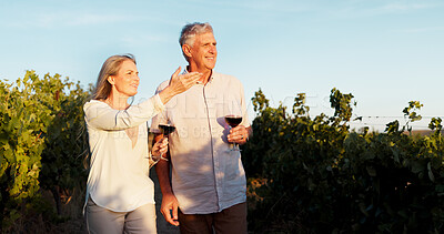 Buy stock photo Travel, pointing and wine with old couple in vineyard for romance, anniversary date and bonding. Happiness, retirement and view with senior man and woman at winery for alcohol, relax and vacation