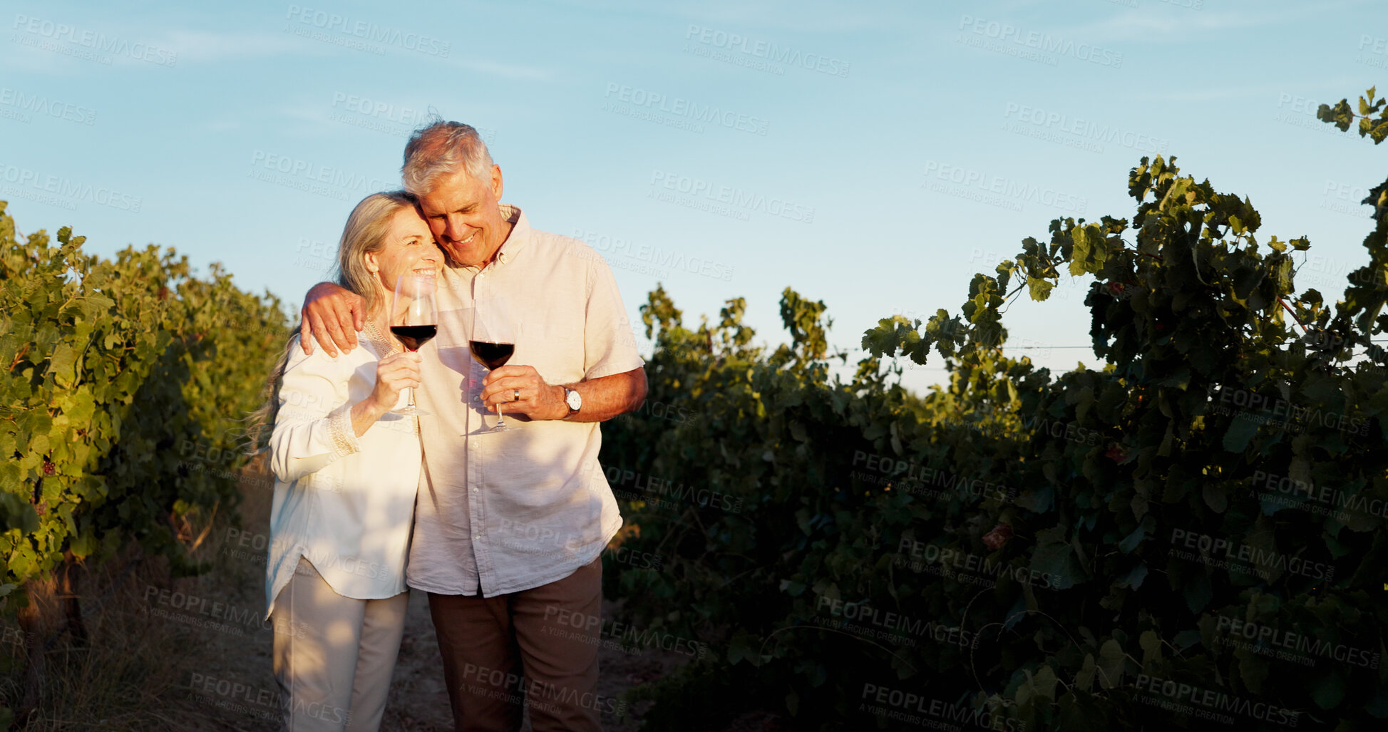 Buy stock photo Love, hug and wine with old couple in vineyard for romance, anniversary date and bonding. Happiness, retirement and support with senior man and woman at winery for embrace, relax and vacation