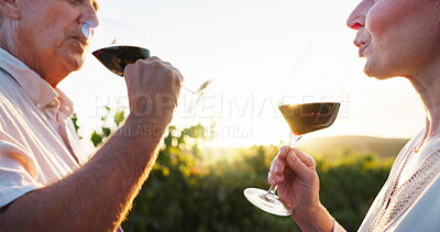 Buy stock photo Hands, drink and wine with old couple in vineyard for romance, anniversary date and bonding. Happiness, retirement and support with senior man and woman at winery for closeup, relax and vacation