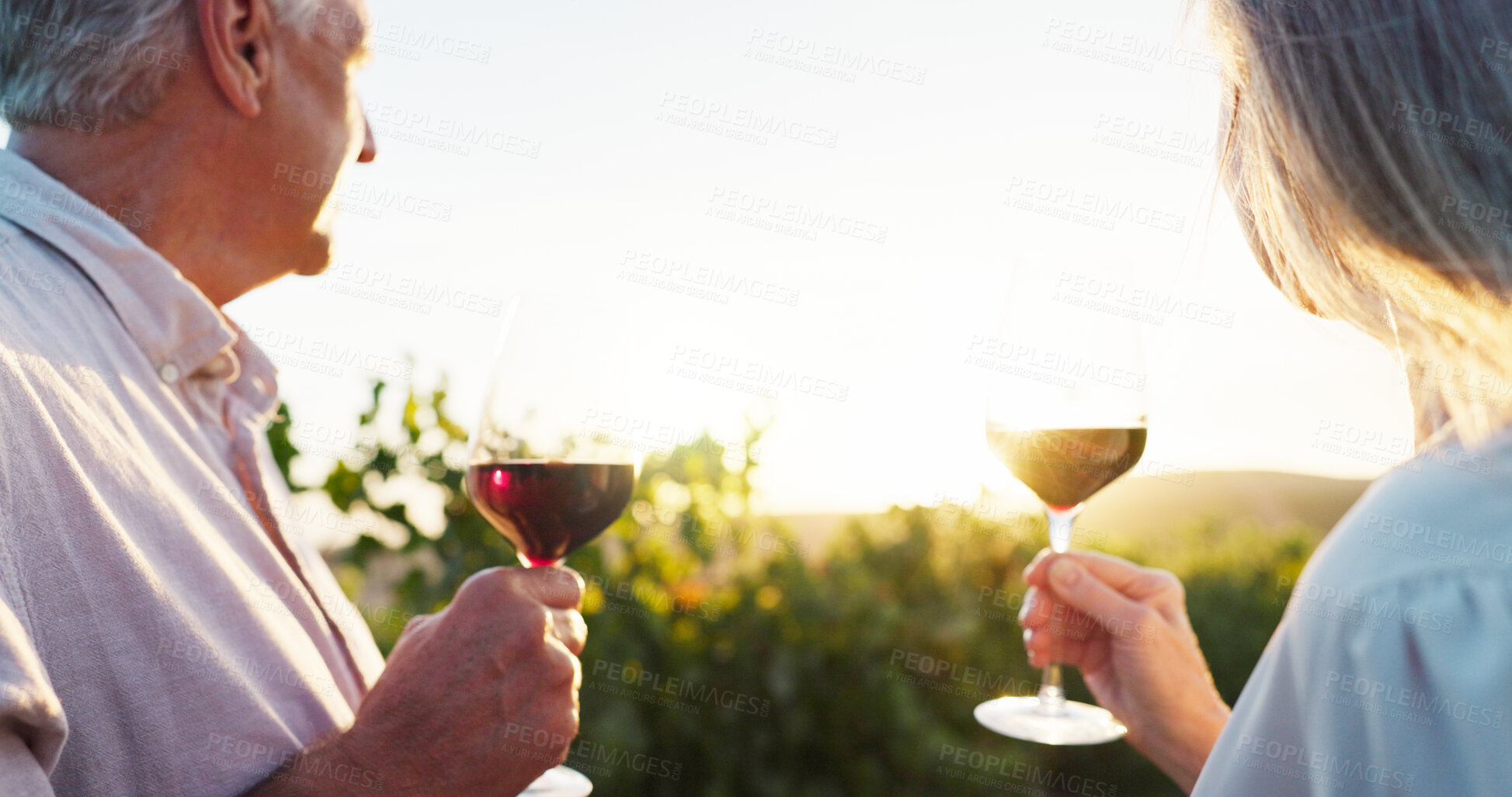 Buy stock photo Love, hands and wine with old couple in vineyard for romance, anniversary date and bonding. Sunset view, retirement and support with senior man and woman at winery for glass, space and vacation