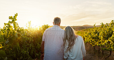 Buy stock photo Love, walking and back with old couple in vineyard for romance, anniversary date and bonding. Sunset, retirement and support with senior man and woman at winery for space, relax and vacation