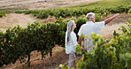 Nature, pointing and walk with old couple in vineyard for romance, anniversary date and bonding. Holding hands , retirement and view with senior man and woman at winery for alcohol, relax or vacation