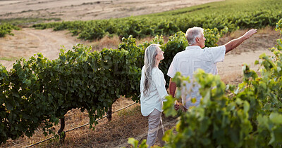 Buy stock photo Nature, pointing and walk with old couple in vineyard for romance, anniversary date and bonding. Holding hands, retirement and view with senior man and woman at winery for alcohol, relax or vacation