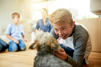 Buy stock photo Boy, moving day and puppy in new home together with excited family for property relocation. Adoption, love or petting with child and adopted pet dog in modern. apartment for beginning or bonding
