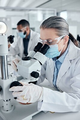 Buy stock photo Innovation, covid and scientist woman with microscope and ppe for science research development or test in laboratory. Expert worker with biotechnology analysis studying sample for medical healthcare