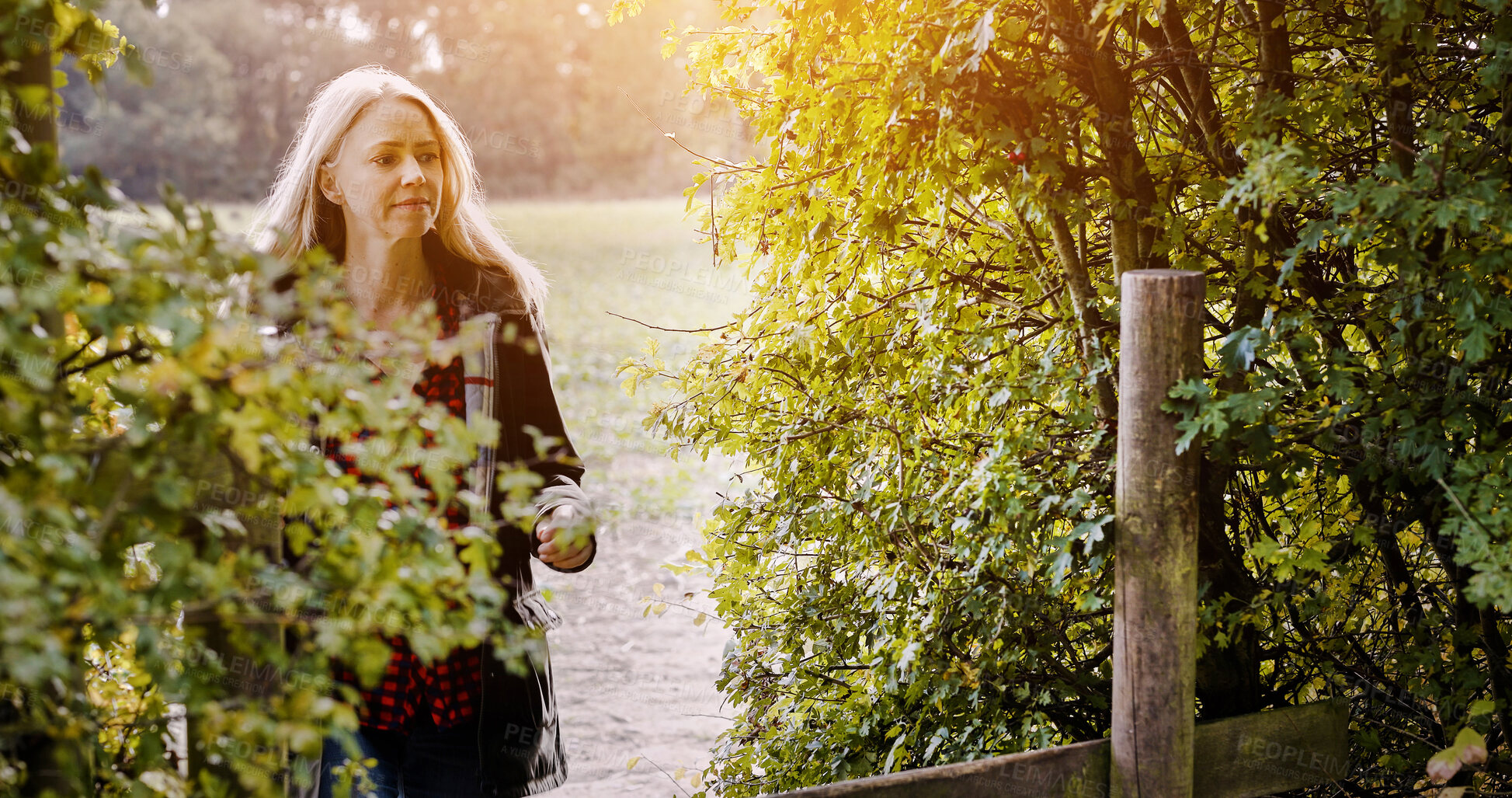 Buy stock photo Countryside, morning and woman in nature walking for wellness, fresh air and relax outdoors. Trees, fence and person in field, meadow and farm for calm, peace and freedom in natural environment