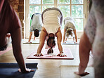 Woman, yoga and class in body stretching or pose for spiritual wellness, zen or workout together at gym or dojo. Calm female person, mentor or people in warm up stretch, healthy exercise or fitness