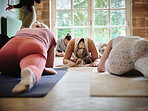 Stretching, woman and teaching yoga, people in gym for fitness class for health and mindfulness together. Relax, showus and meditation, men and women training for exercise, body wellness and balance.