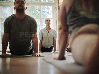 Buy stock photo Yoga class, people and cobra pose for fitness, wellness and exercise with mentor or studio instructor. Group of men on floor for stretching, holistic workout and balance with calm, peace and health