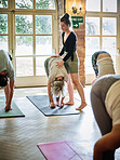 Instructor, stretching or people in yoga class for balance, breathing or body flexibility in studio for peace. Woman teaching, trainer or pilates group with mindfulness, support or wellness together