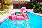 Male person, relax and flamingo in swimming pool for holiday, summer and sunshine for vacation. Man, sleeping and inflatable bird in water for travel, calm or zen and float for weekend trip to Miami
