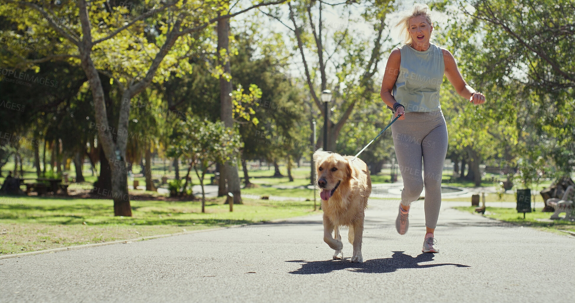 Buy stock photo Outdoor, woman and happy for running with dog for fitness, exercise and workout in England. Mature person, park and smile with jog as pet owner or animal on with adoption, support and self care