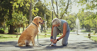Buy stock photo Dog walking, lace and tie with woman in park for cardio exercise, fitness or health hobby. Leash training, obedience and pet performance with mature animal owner outdoor in nature for summer workout