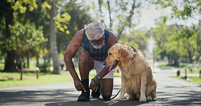 Buy stock photo Dog walking, lace and tie with black man in park for cardio exercise, fitness or health hobby. Leash training, pet performance and start with animal owner outdoor in nature for summer workout
