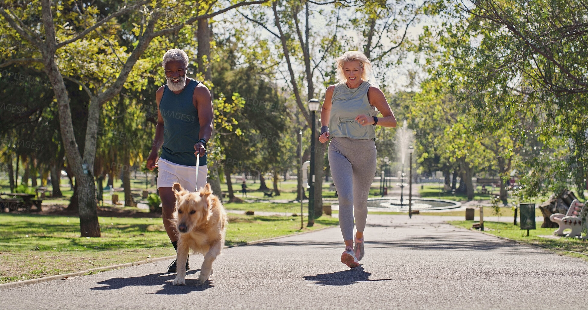 Buy stock photo Senior couple, running and dog in park with smile, love and care with runner workout and marathon training. Outdoor, health and interracial relationship with pet, animal and golden retriever