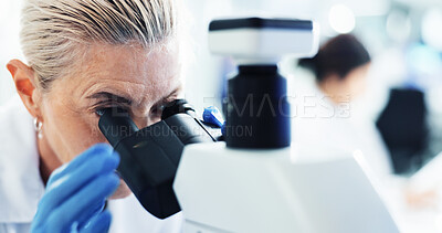 Buy stock photo DNA, woman and scientist with microscope in laboratory for research with medical innovation. Biotechnology, professional and mature female biologist with RNA for pharmaceutical study or discovery.