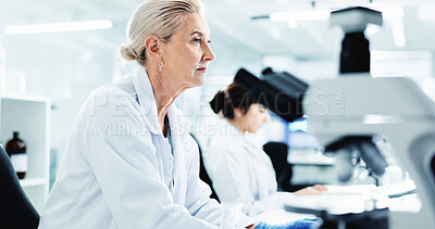 Buy stock photo Mature woman, scientist and reading in lab for research, information and results of medical study. Person, researcher and review experiment of biotechnology, assessment report and healthcare solution