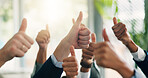 Thumbs up, hands and business people in office with satisfaction, ok or agreement for goal. Collaboration, success and team of financial managers with approval emoji for target achievement together.