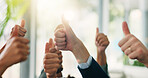 Thumbs up, hands and business people in office with approval, ok or agreement for goal. Collaboration, success and team of financial managers with satisfaction emoji for target achievement together.