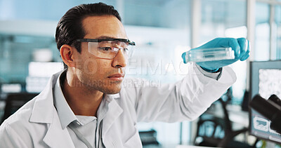 Buy stock photo Scientist, man and petri dish with analysis for biology, breakthrough or medical research. Biotech, laboratory and microscope with bacteria DNA study for pharmaceutical RNA or pathology experiment