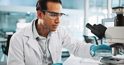 Buy stock photo Scientist, man and microscope with petri dish for biology, breakthrough or medical research analysis. Biotech, laboratory and thinking with DNA study for pharmaceutical RNA or pathology experiment