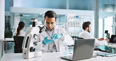 Buy stock photo Petri dish, chemical and healthcare with man in laboratory for science sample, molecular reaction and research. Medicine, vaccine experiment and medical test with person for pharmacy and microscope