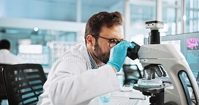 Buy stock photo Microscope, clinic and research with man in laboratory for dna sample, forensics investigation and healthcare. Pathology report, genetic analysis and medical test with person for science and solution