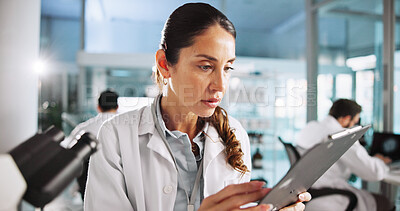 Buy stock photo Tablet, woman and scientist in laboratory for project for medical study, research or report. Science, technology and female biologist with pharmaceutical innovation for healthcare investigation.