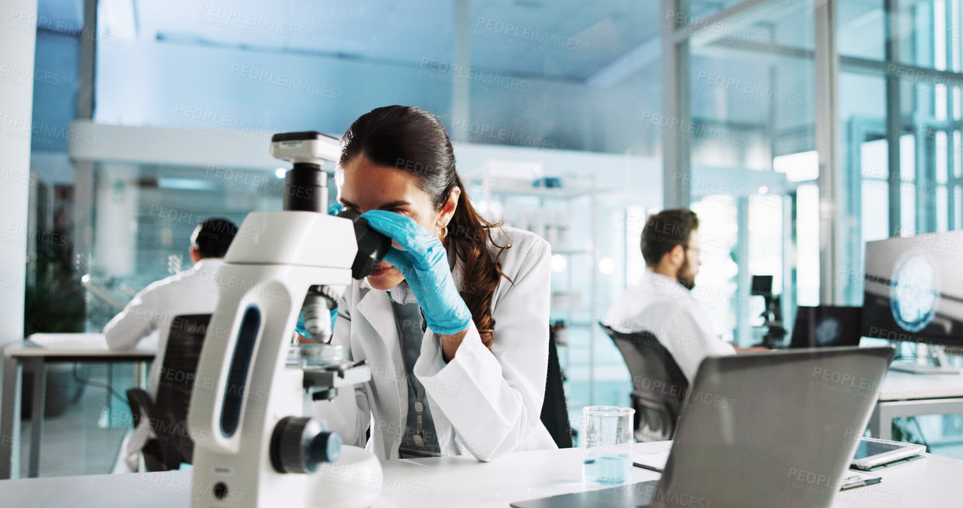 Buy stock photo Scientist, woman or microscope with analysis in laboratory for sample testing or medical research. Biotechnology, equipment and scientific study for pharmaceutical development and vaccine innovation