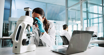 Buy stock photo Scientist, woman or microscope with research in laboratory for sample analysis or testing bacteria. Science, medical equipment or biology study for pharmaceutical development or healthcare innovation