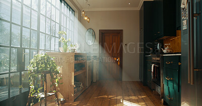 Buy stock photo Empty, plants and sunlight in house, decor and interior design of room, green and furniture in property. Window, kitchen and sustainability of leaves, natural and rental of apartment with home garden