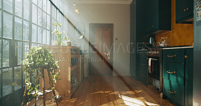 Buy stock photo Empty, plants and decor in house, kitchen and interior design of room, green or sunlight in property. Window, real estate and sustainability of leaves, natural or rental apartment with home garden