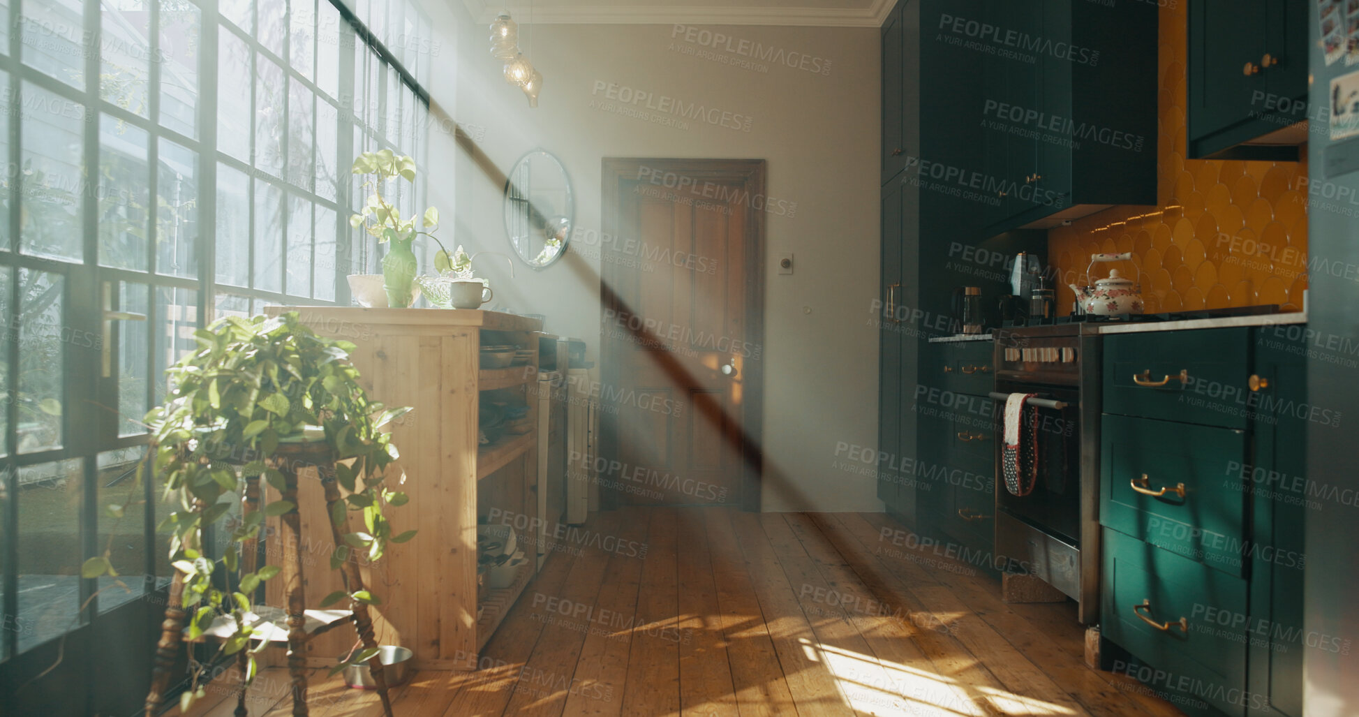 Buy stock photo Empty, plants and decor in house, kitchen and interior design of room, green or sunlight in property. Window, real estate and sustainability of leaves, natural or rental apartment with home garden