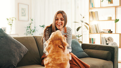 Buy stock photo Playing, bonding or happy woman in home with dog, support or companion in lounge with care or love. Animal adoption, excited or girl on couch with golden retriever, best friend or pet for training