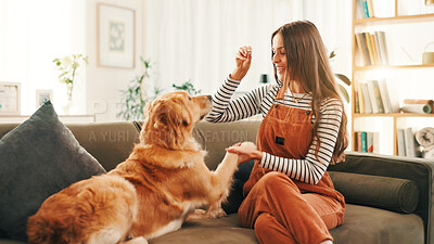 Buy stock photo Care, training or happy woman on couch with dog, support or companion in home for learning or bonding. Animal adoption, obedience or girl with love for teaching golden retriever, best friend or pet