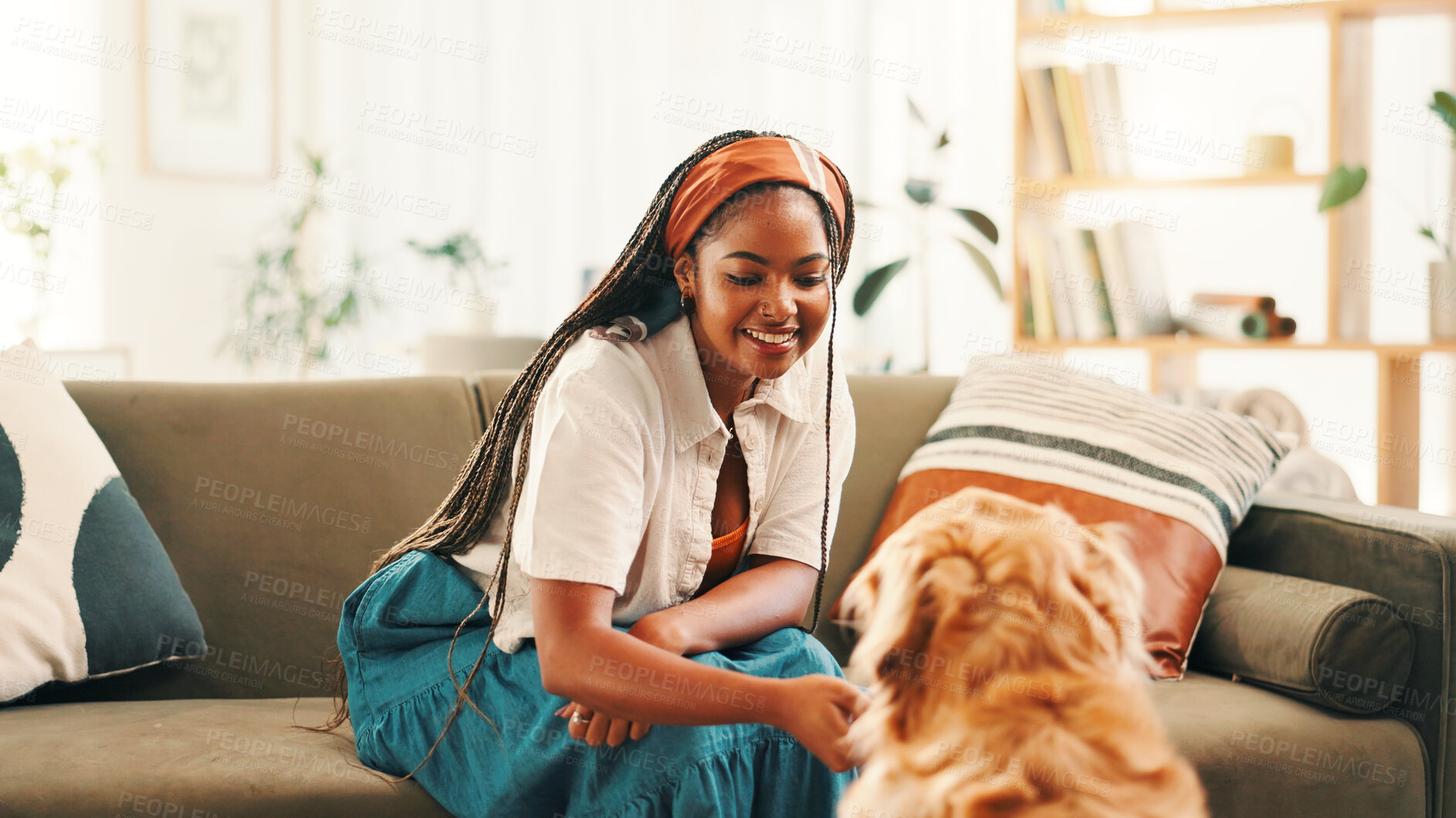 Buy stock photo Home, training or African woman with dog, support or companion on sofa for learning or bonding. Animal adoption, obedience or happy girl with love for teaching golden retriever, best friend or pet