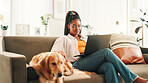 Education, laptop and relax with woman with dog on sofa in living room of home for browsing or study. Computer, happy or learning with labrador and pet owner in apartment for bonding or development