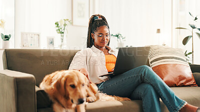 Buy stock photo Education, laptop and relax with woman with dog on sofa in living room of home for browsing or study. Computer, happy or learning with labrador and pet owner in apartment for bonding or development