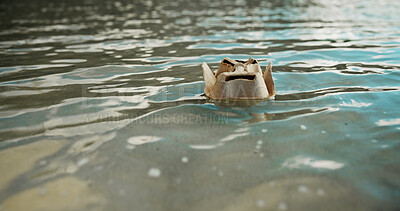 Buy stock photo Paper, sea and dirt with pollution for recycling, climate change or global warming in nature. Empty, ocean or rubbish with container, litter or mess in water for waste management or contamination
