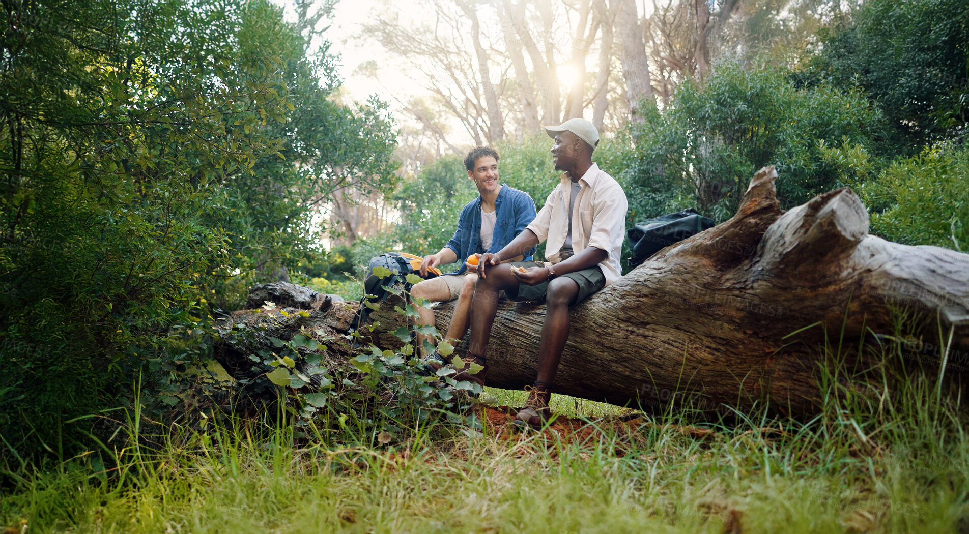 Buy stock photo Happy men, friends or break with tree at forest for hiking journey or adventure together in nature. Male people, rest or snack on log with food for trekking stop, trip or outdoor exploration in woods