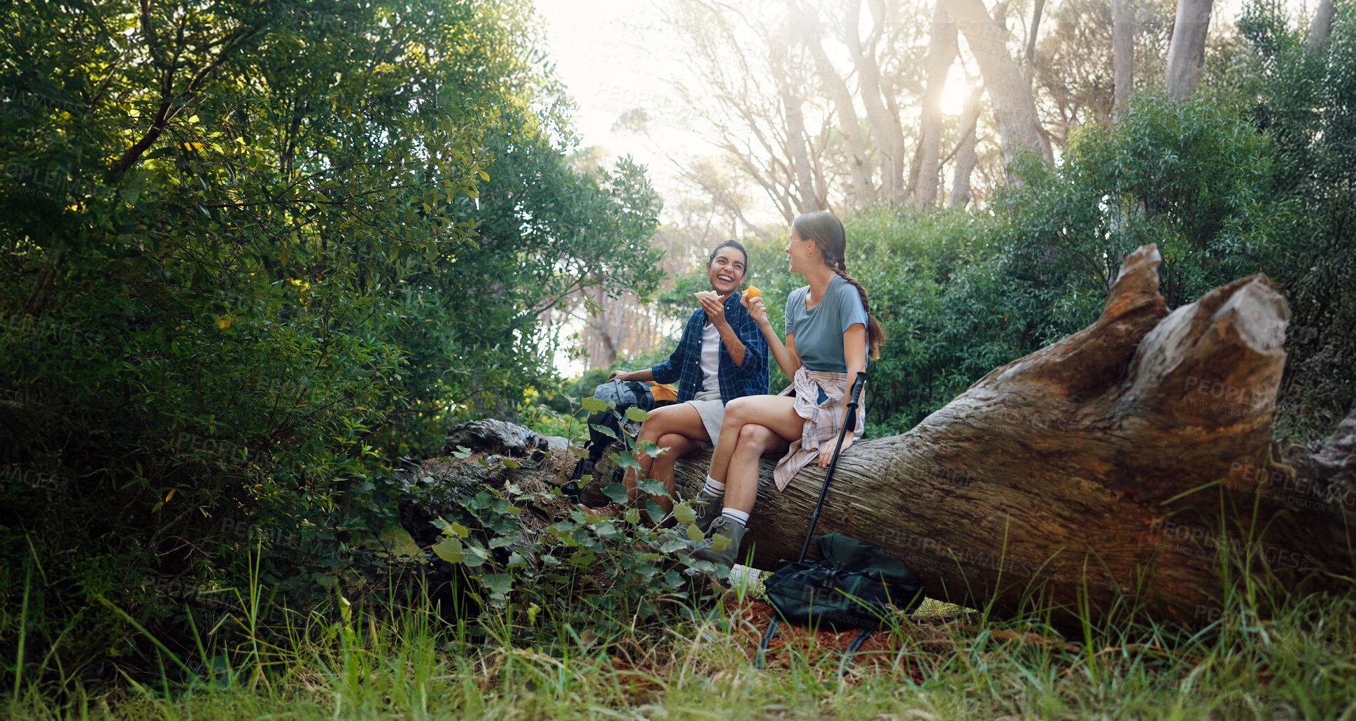 Buy stock photo Happy women, friends or eating with break at forest for hiking, journey or adventure together in nature. Female people, rest or laughing with snack or food for trekking, trip or outdoor exploration