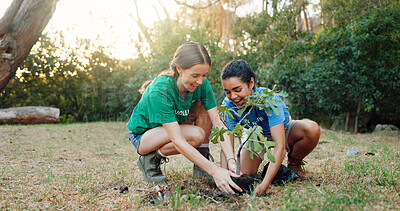 Buy stock photo Women, volunteer and planting trees in forest, sustainability and environment with Earth Day project. Happy, people and support with community service, eco friendly activity and nature growth